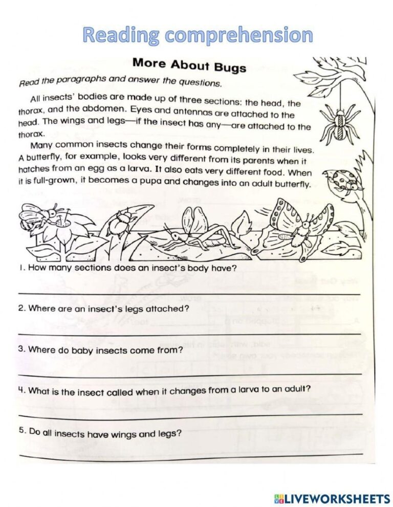 1853550 Reading Comprehension Bugs Miss micao 