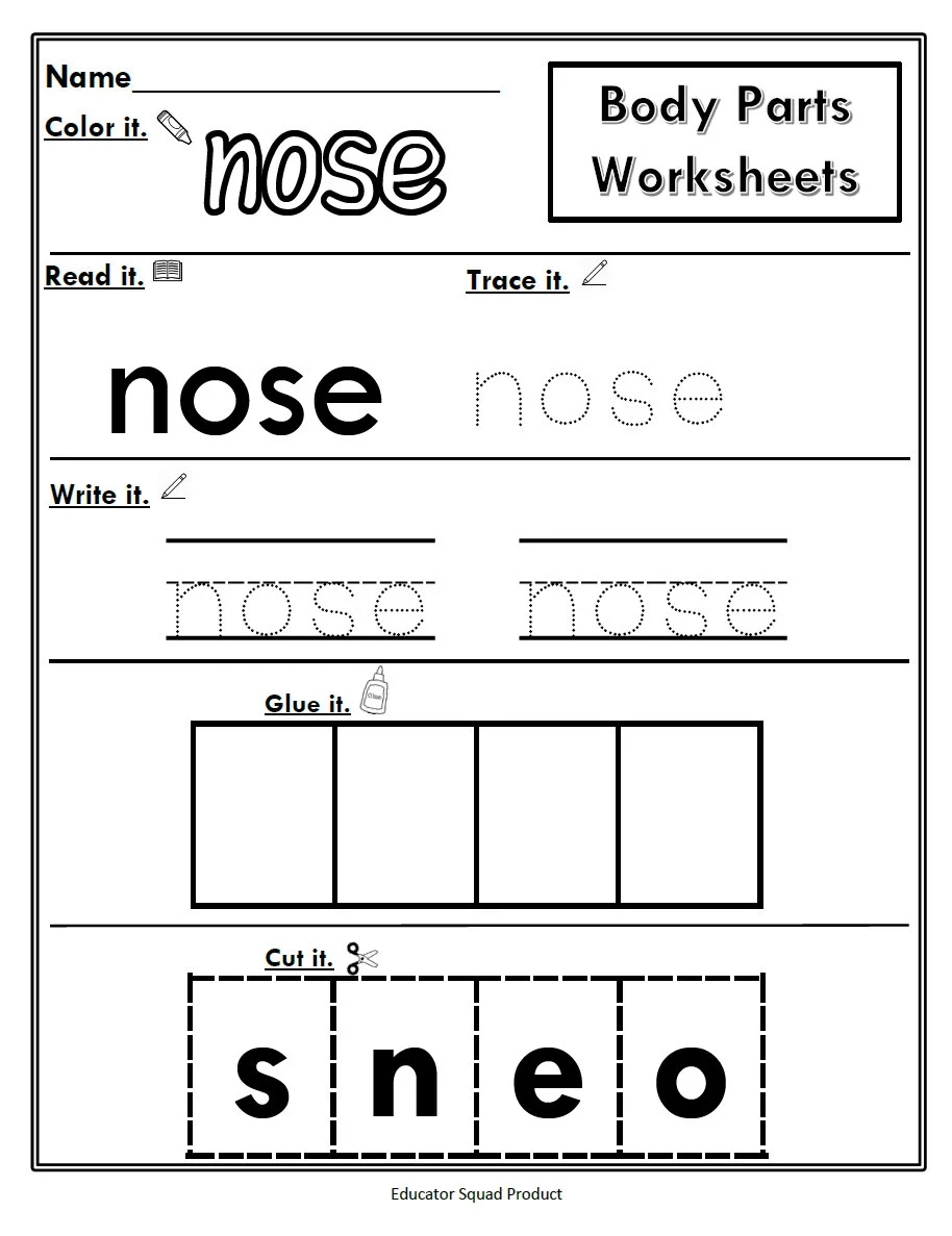 Preschool Anatomy Worksheets