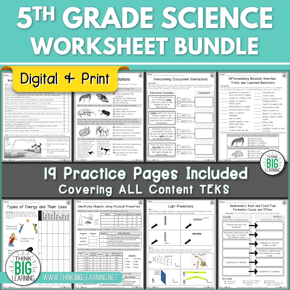5th Grade Science STAAR Review Worksheets Bundle Digital And Printable Think Big Learning