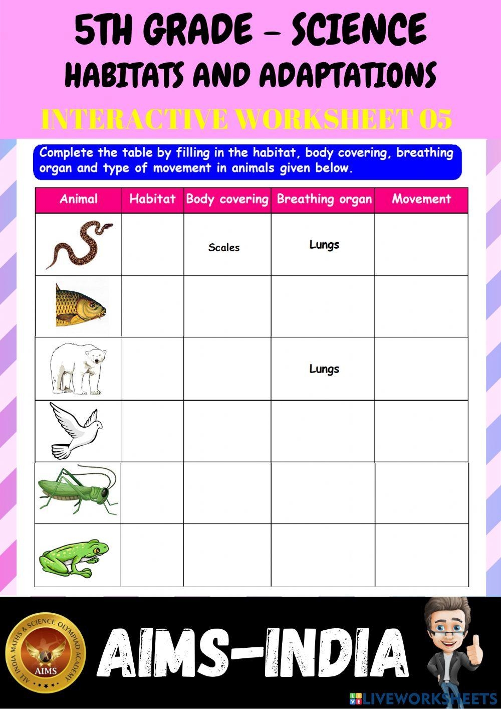 Fifth Grade Science Printable Worksheets