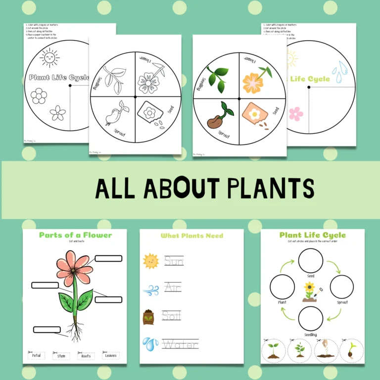 All About Plants Flower Life Cycle Preschool Kindergarten Learning Homeschool Printables Kids Science Lesson Plant Biology Worksheets Etsy