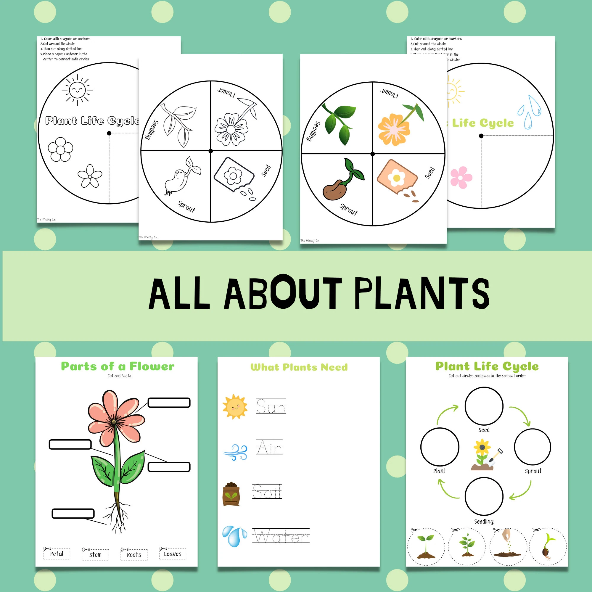 All About Plants Flower Life Cycle Preschool Kindergarten Learning Homeschool Printables Kids Science Lesson Plant Biology Worksheets Etsy