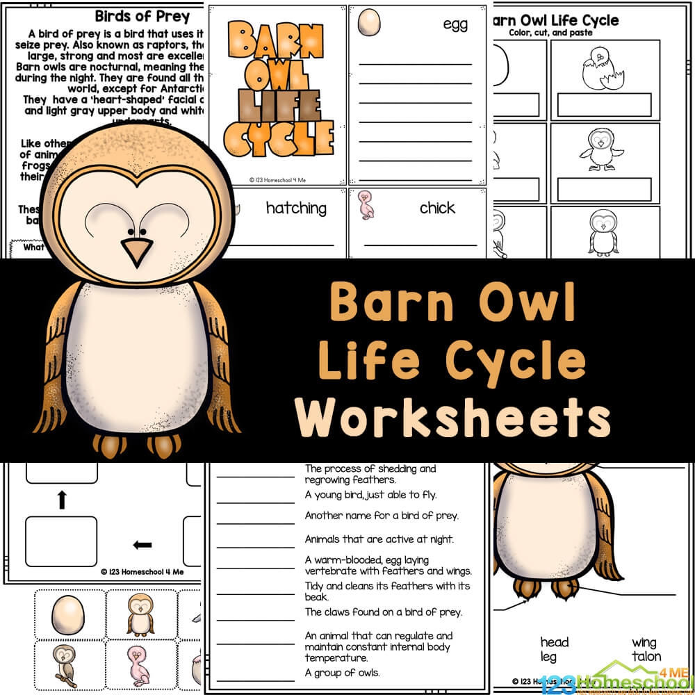 Owl Babies Printable Worksheets