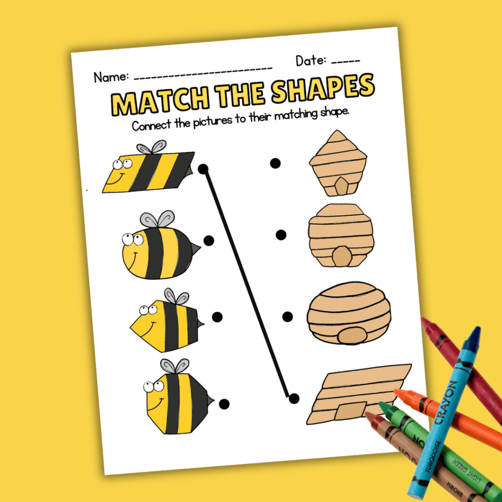 Bee Shape Matching Worksheets Fun Free Printables