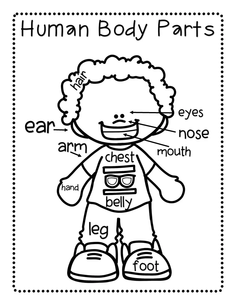 Body Parts Activities The Super Teacher