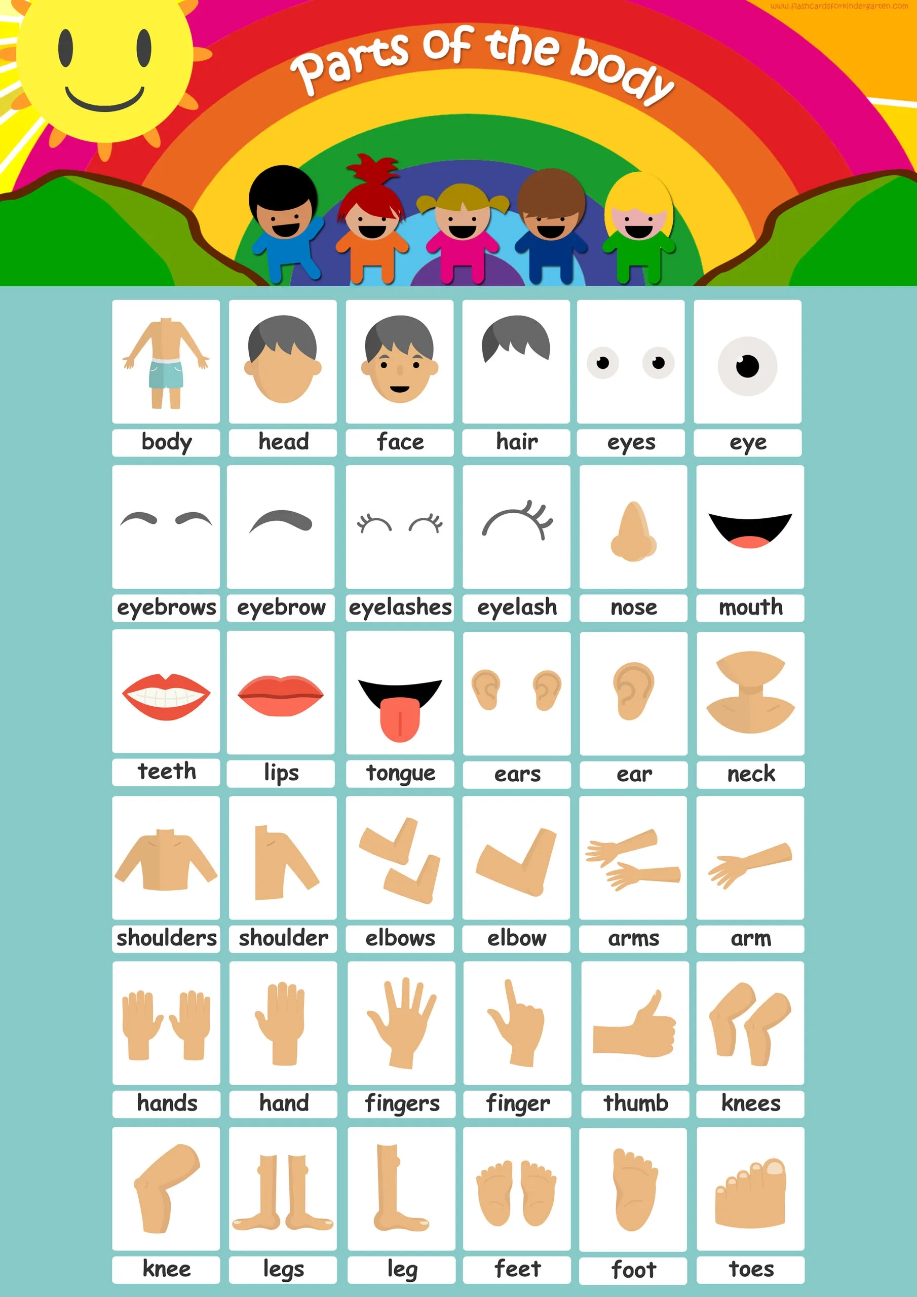 Preschool Body Parts Printables Art