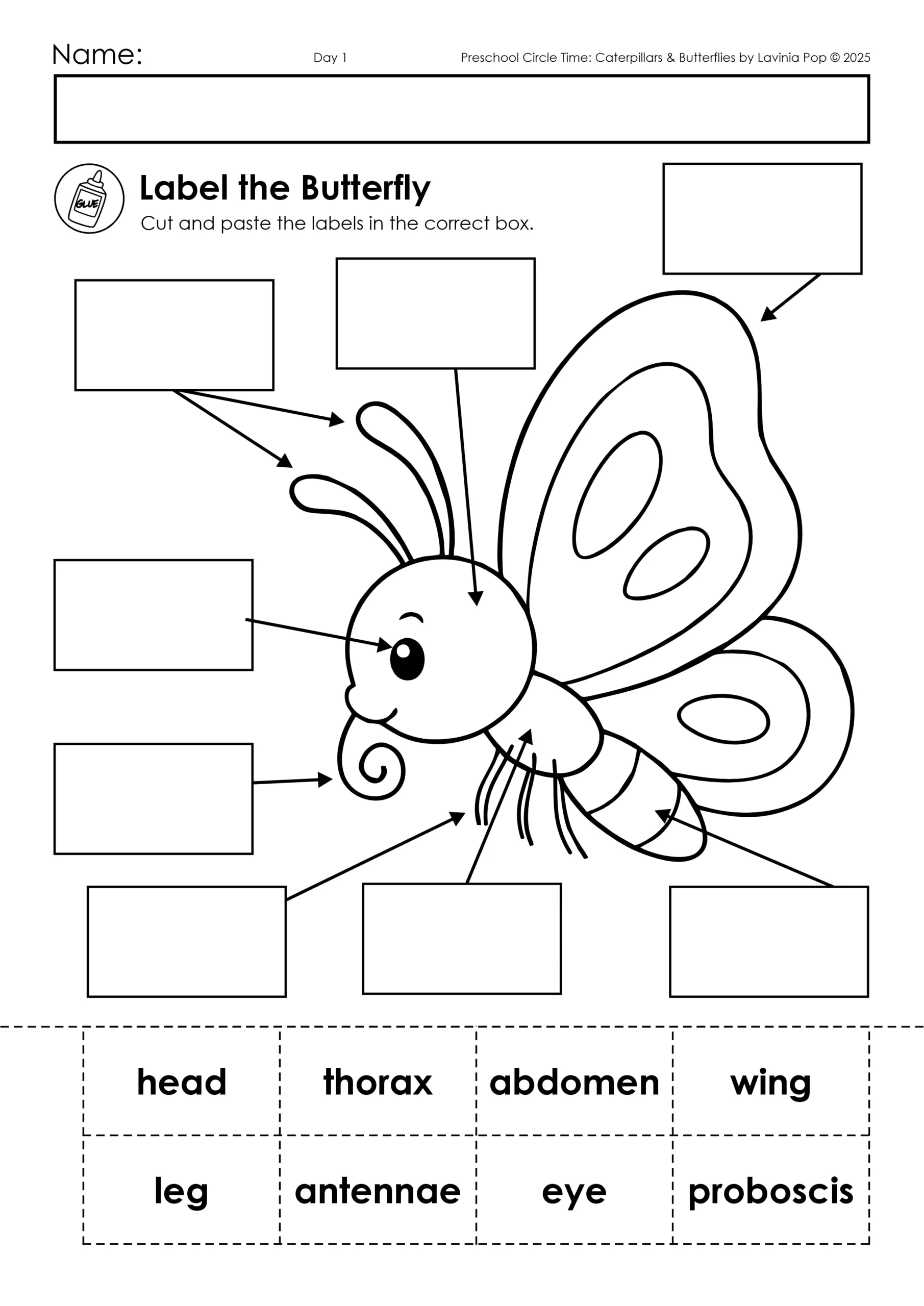 Coocoon Worksheets Preschool