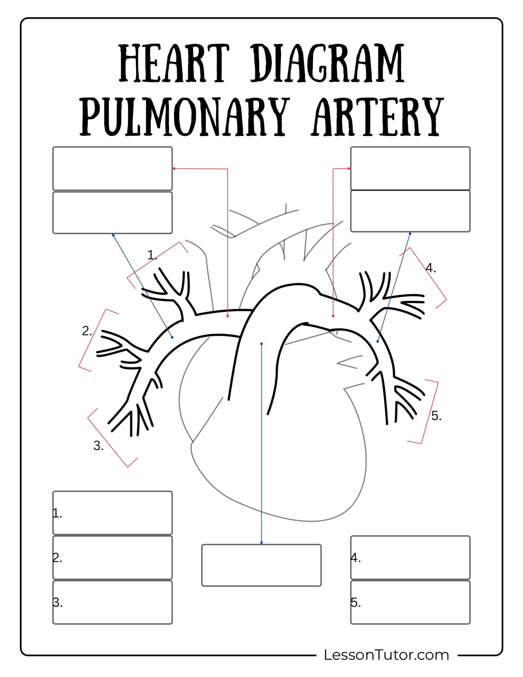 Circulatory System Worksheets Free Coloring Pages PDF Printables And Worksheets Lesson Tutor