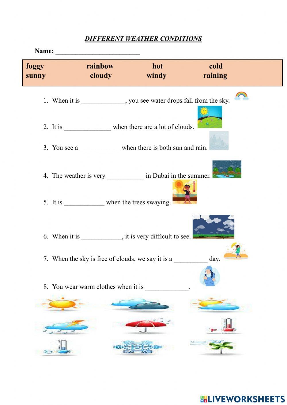 Different Weath Free Interactive Worksheets 6949007