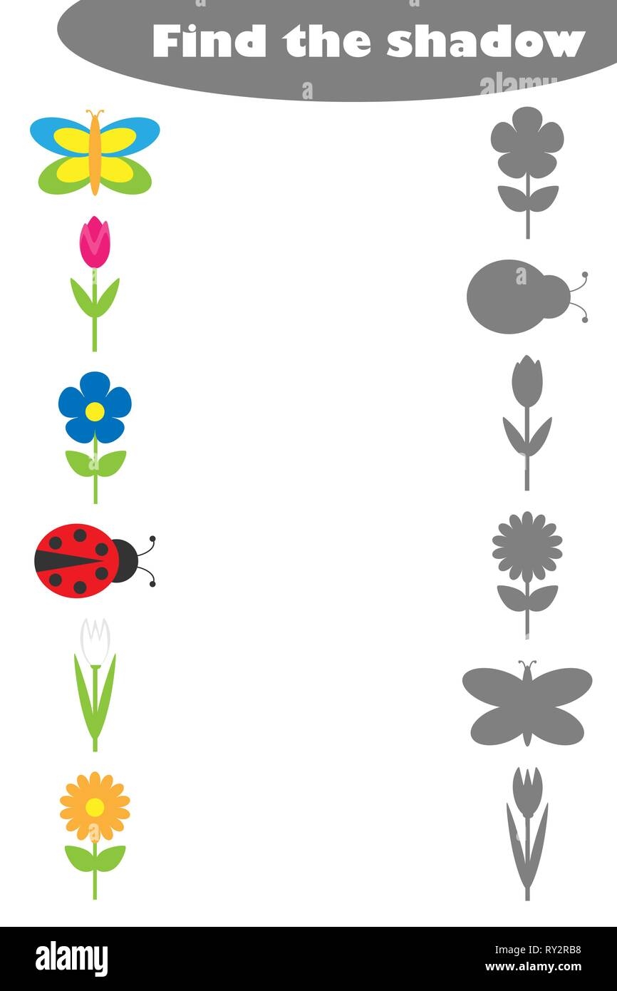 Preschool Shadow Worksheets