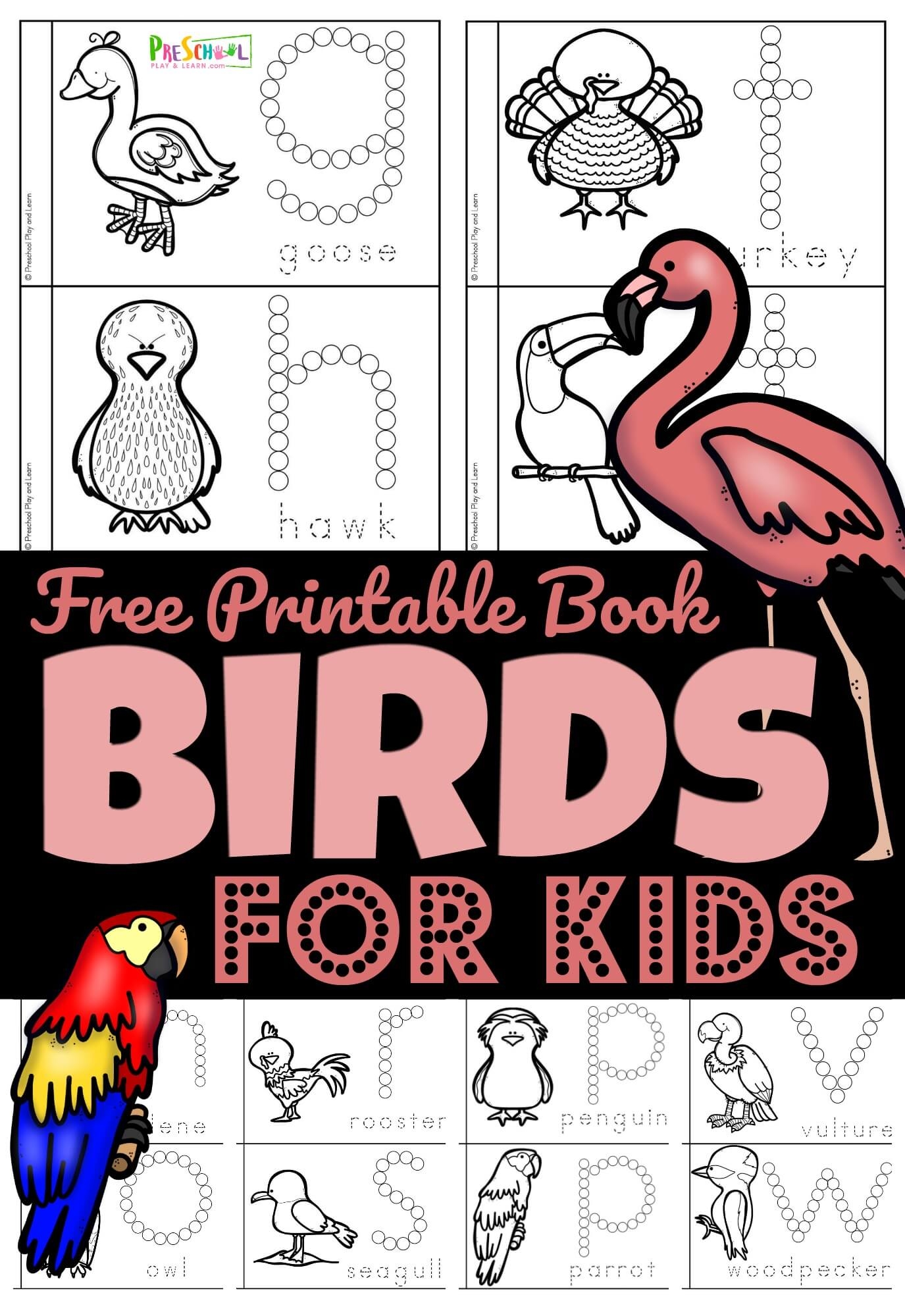 FREE Birds For Preschoolers Printable Book
