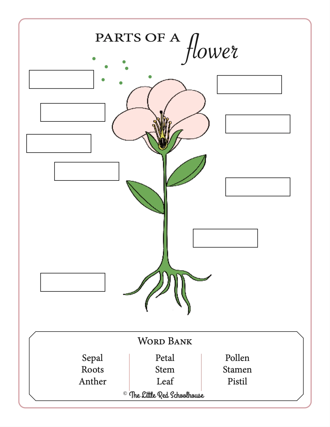 FREE Flower Anatomy Worksheet Adventures In The Schoolhouse