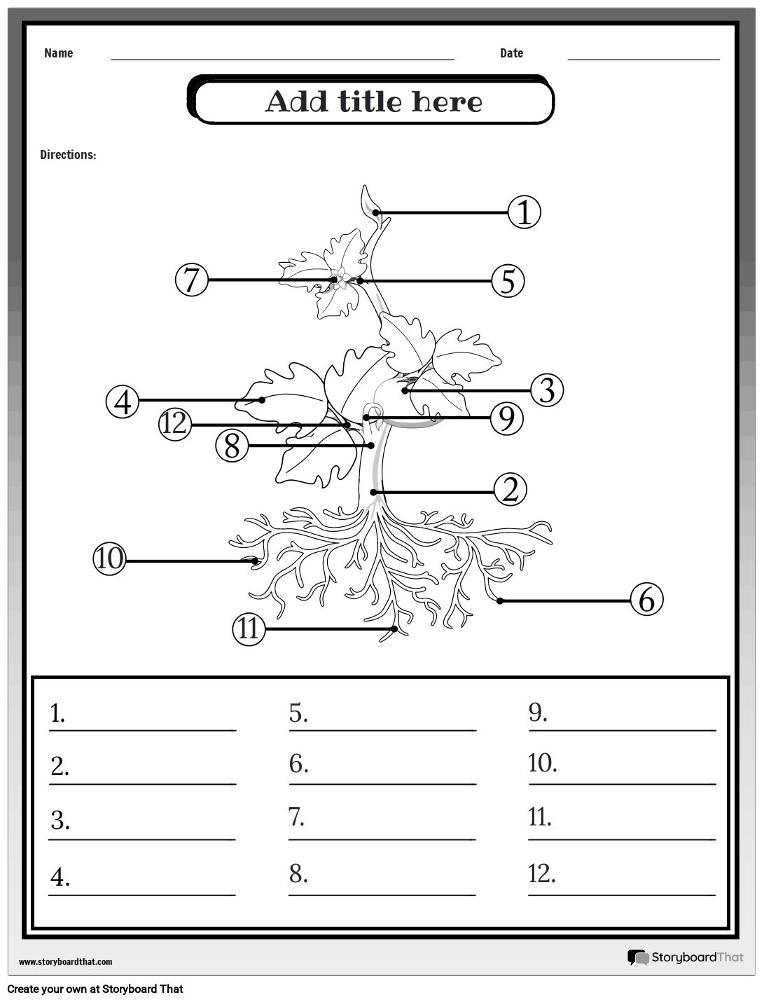 Free Printable Plant Anatomy Worksheets