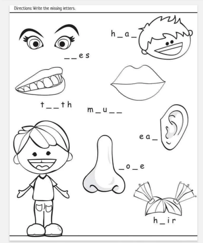 Free Printable Body Parts Worksheets Pdf Activity School For Kids