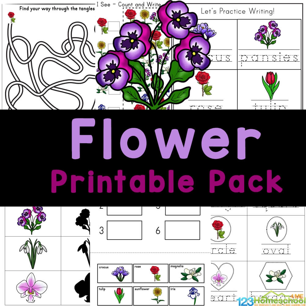 Printable Worksheet Flowers