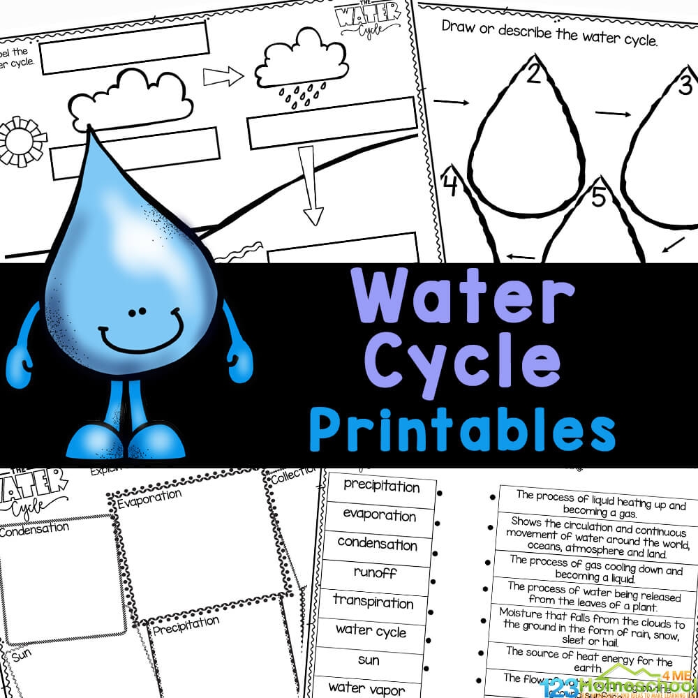 Free Printable First Grade Science Worksheets