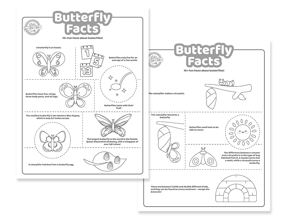 Fun Butterfly Facts Coloring Pages Kids Activities Blog