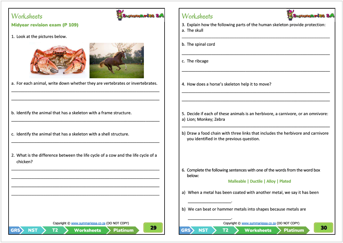 Free Grade 5 Natural Science Worksheets