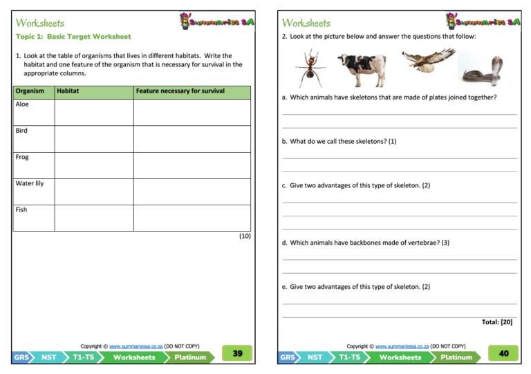 Grade 5 Natural Sciences Technology Term 1 NST Platinum Activities And Worksheets Classroom101