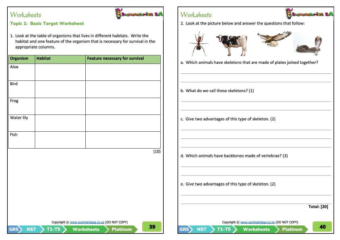 Grade 5 Natural Sciences Technology Term 1 NST Platinum Activities And Worksheets Classroom101