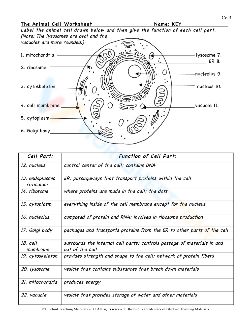 9th Grade Science Free Worksheets