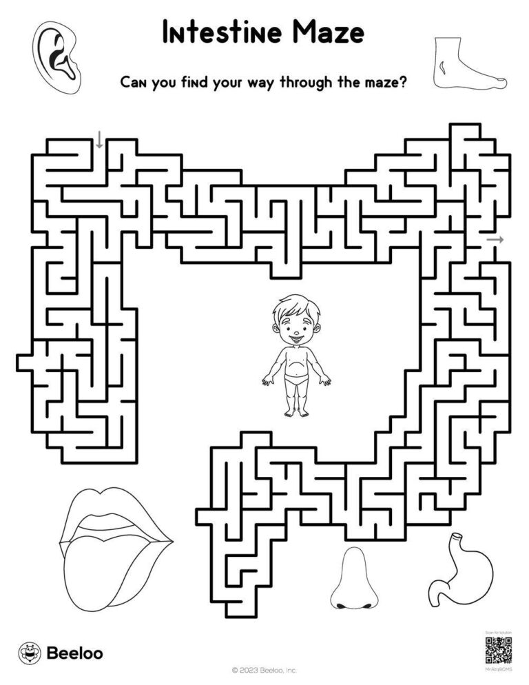 Intestine Maze Beeloo Printable Crafts And Activities For Kids