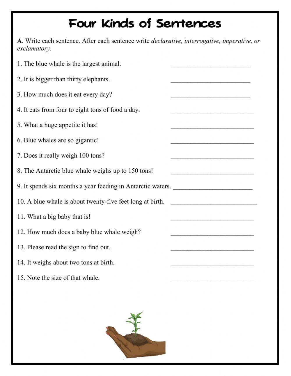 Free Printable Sentence Type Worksheets