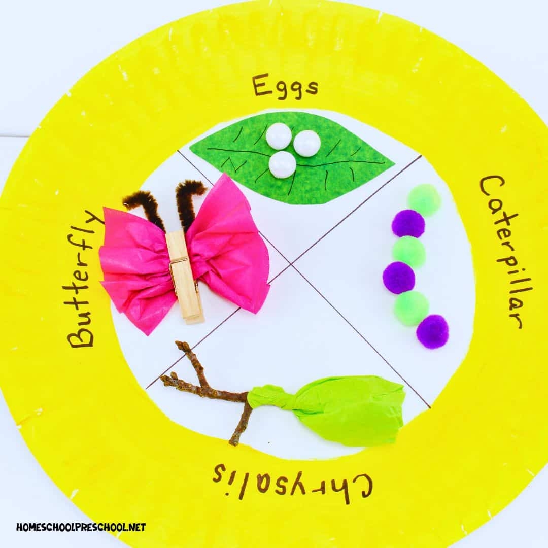 Life Cycle Of A Butterfly Craft For Preschool Kindergarten Fun