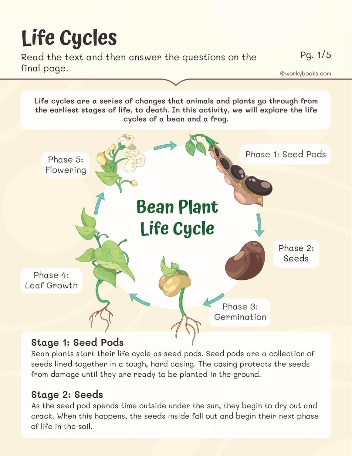 Printable Biology Worksheets Site Edu