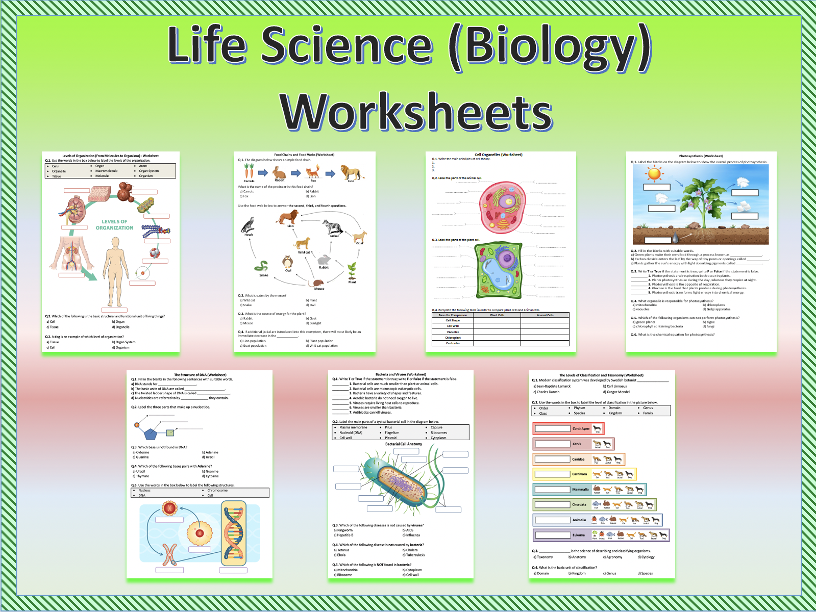 Life Science Biology Worksheets Bundle Printable PDFs Digital Teaching Resources