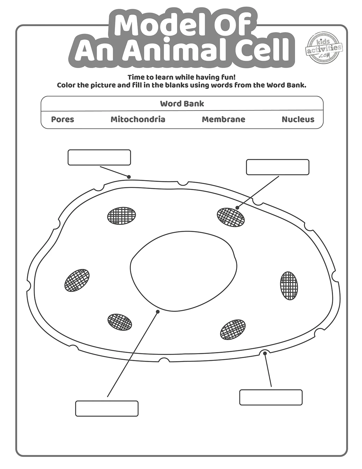 Free Printable Animal Cell Worksheets