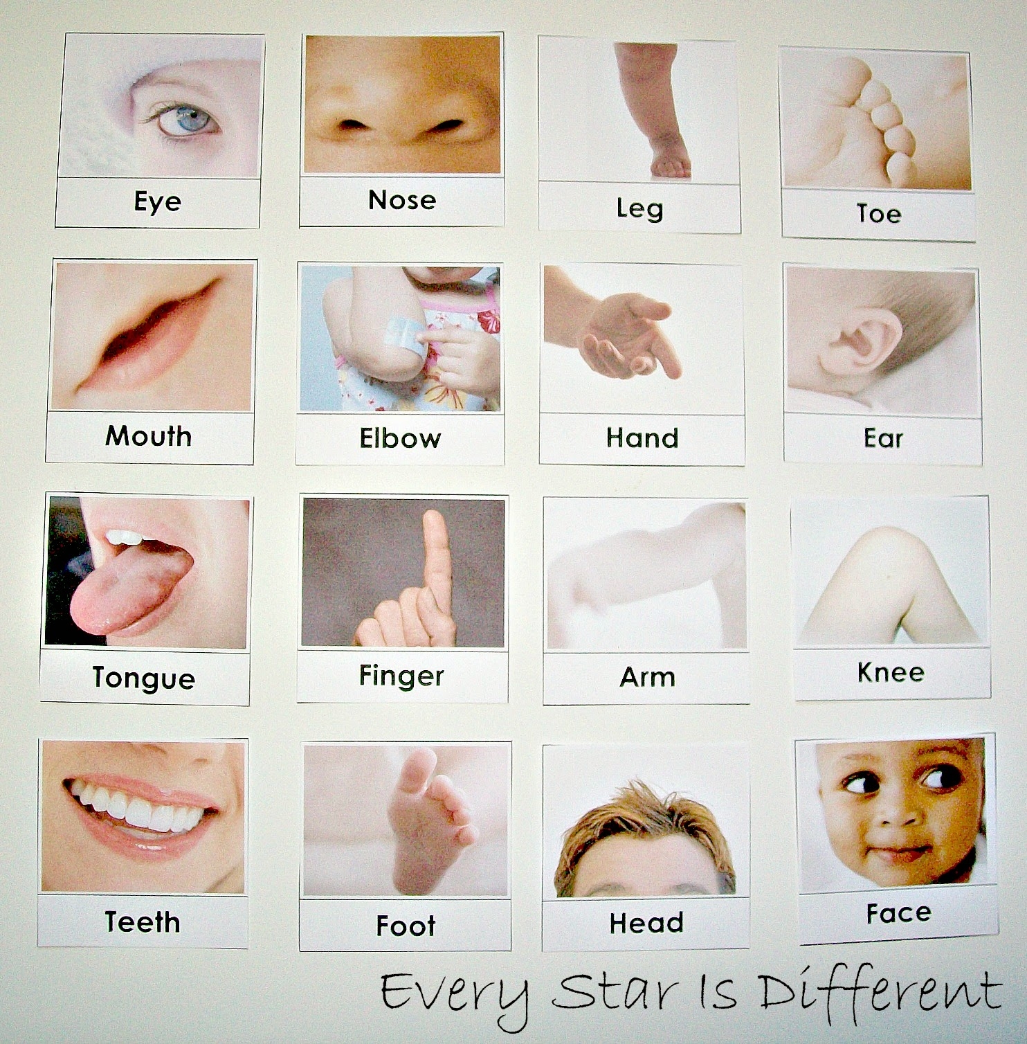 Preschool Body Parts Printables Simple
