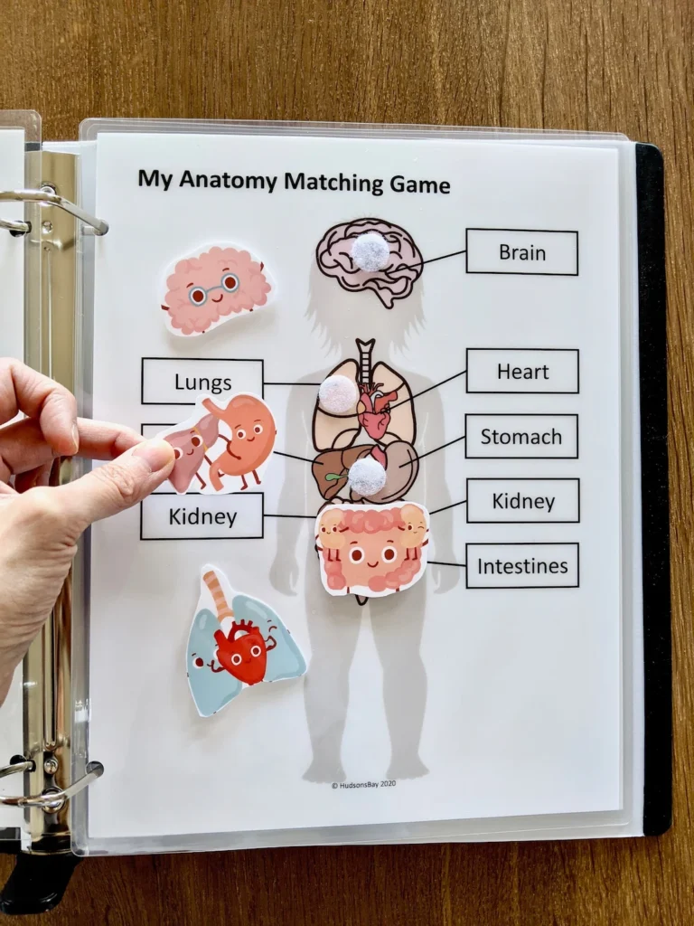 My Body Anatomy Worksheet Pre k Learning Printable PDF Etsy
