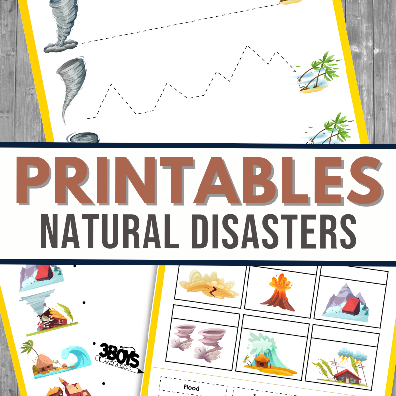 Natural Disaster Worksheet Printable