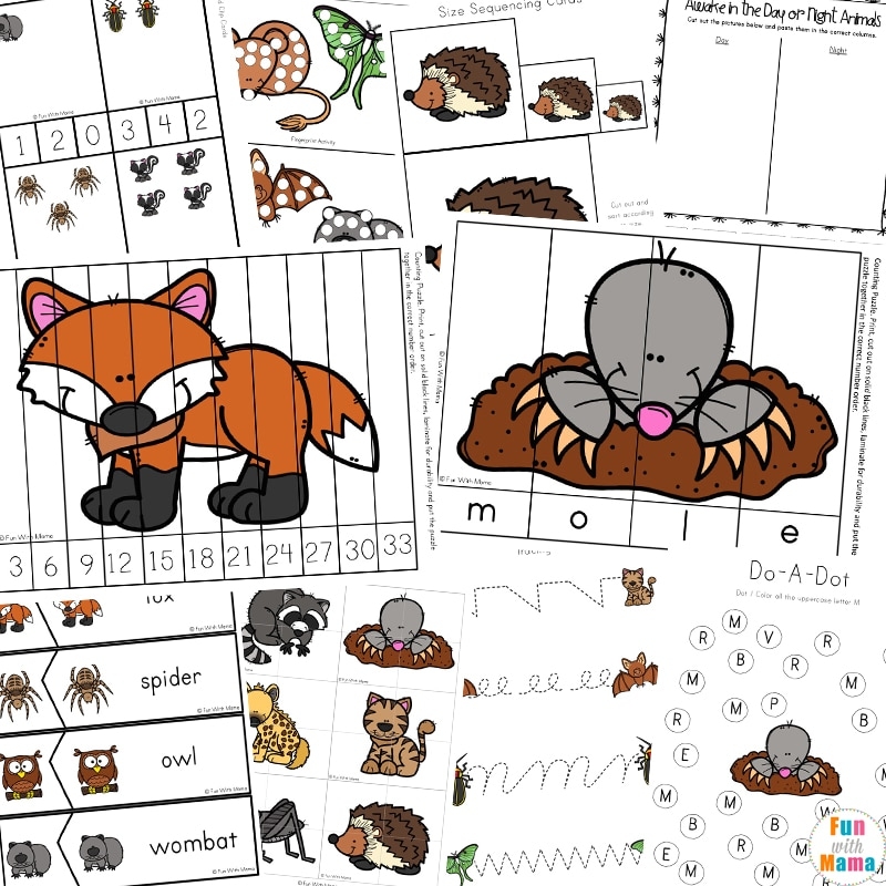 Nocturnal Animals Math Worksheets For Preschoolers