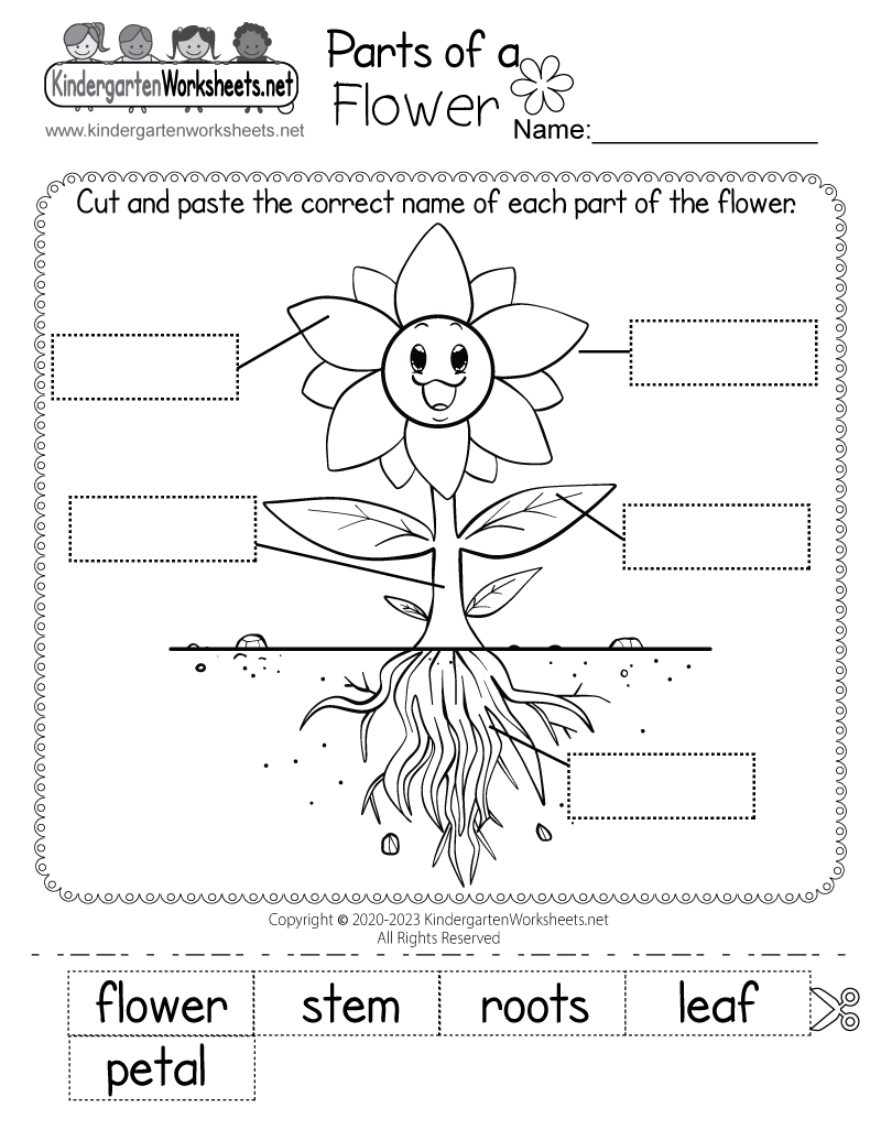 Kindergarten Science Free Printable Worksheets