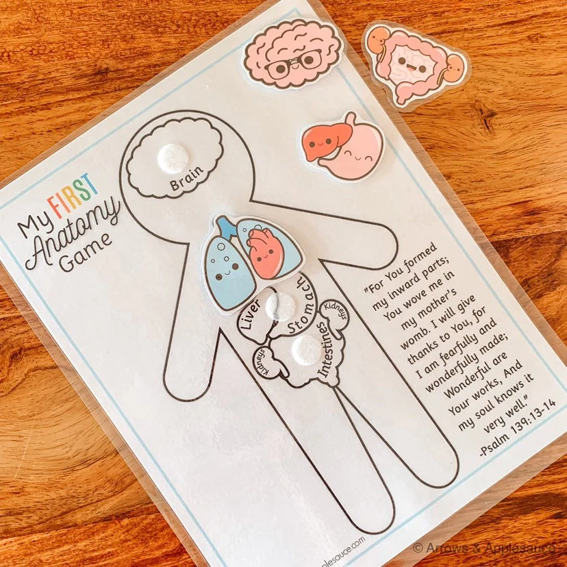 Preschool My First Anatomy Printable Arrows And Applesauce