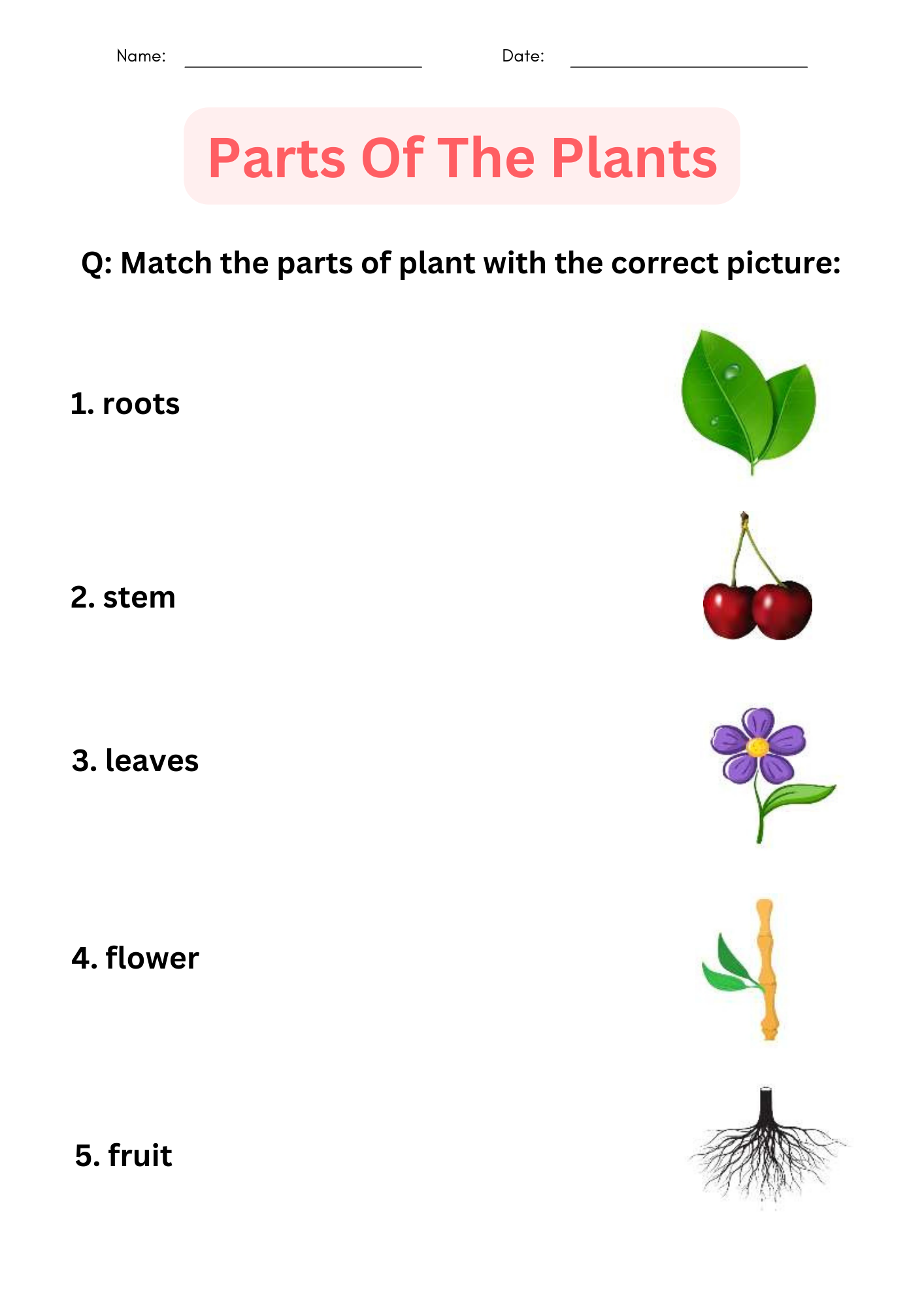 All About Plants Preschool Worksheets