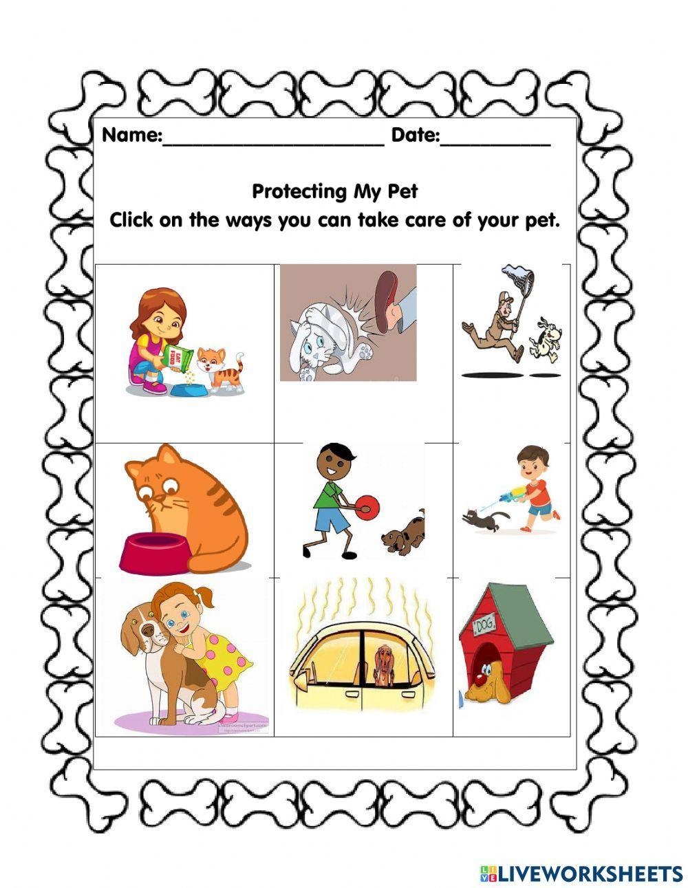 Protecting Your Pet LiveWorksheets 705667