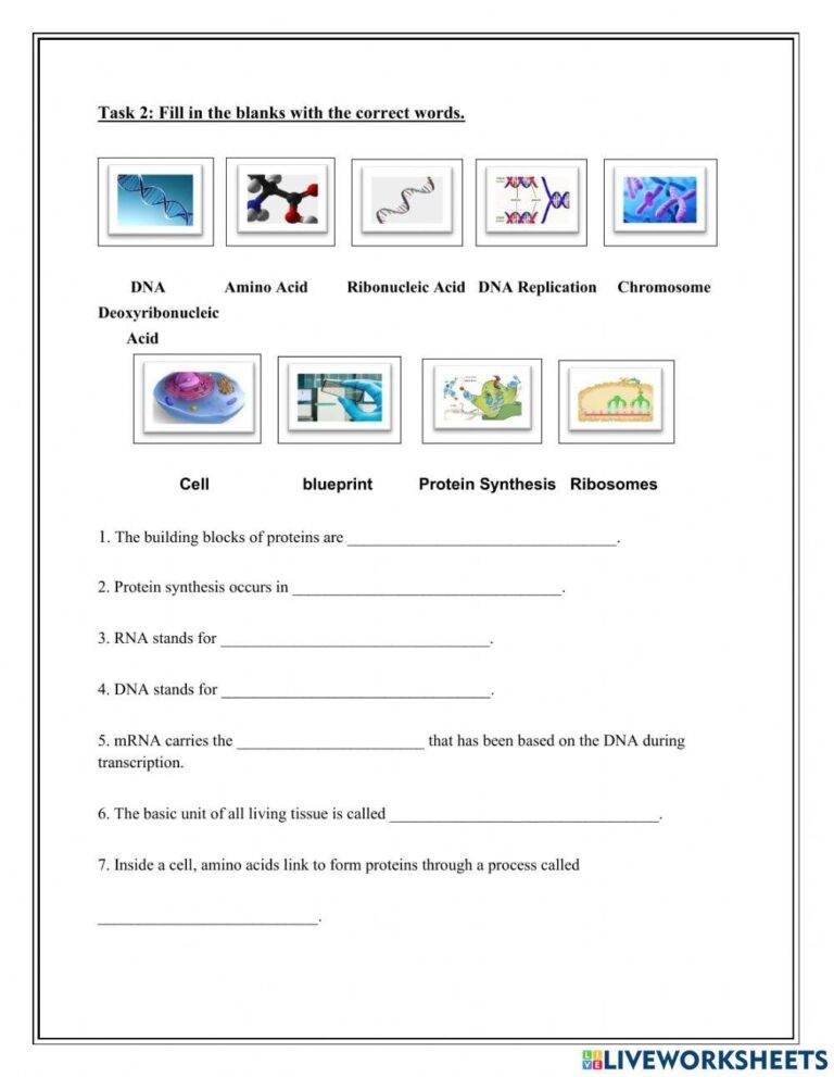 Science 9 Free Interactive Worksheets 1529581