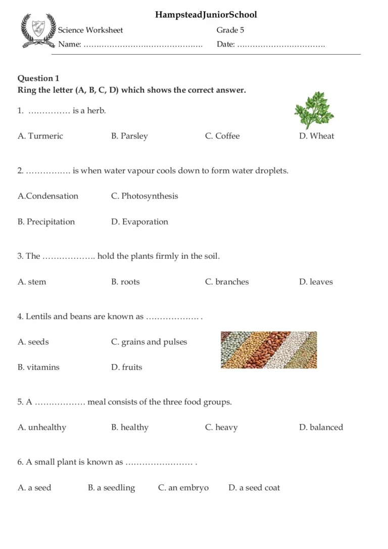 Science Worksheet 1 Grade 5