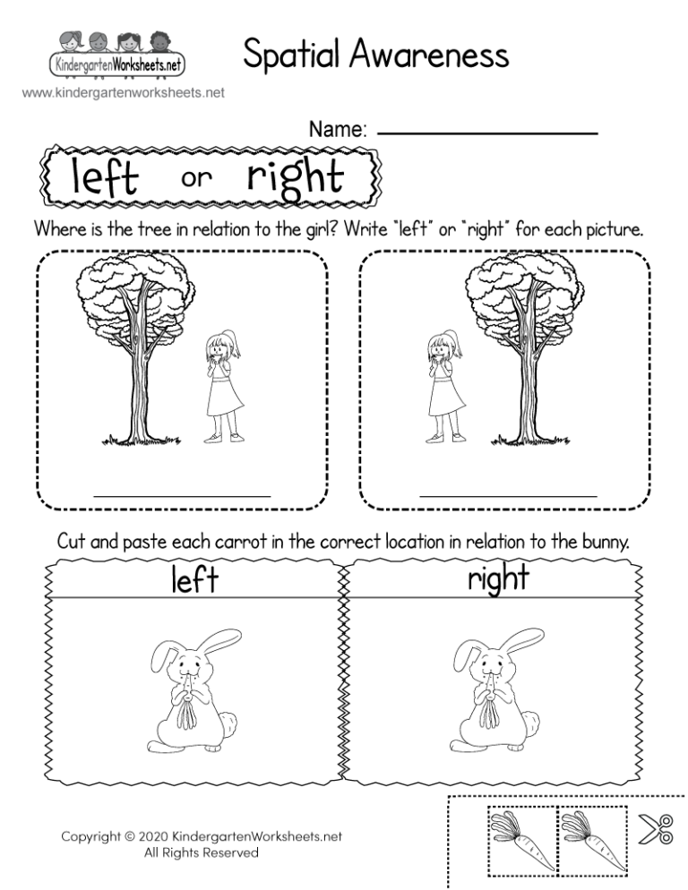 Spatial Concepts Worksheet Free Printable Digital PDF