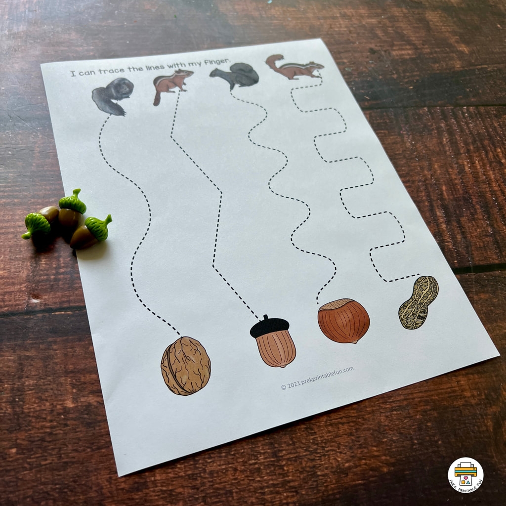 Acorn Preschool Worksheet