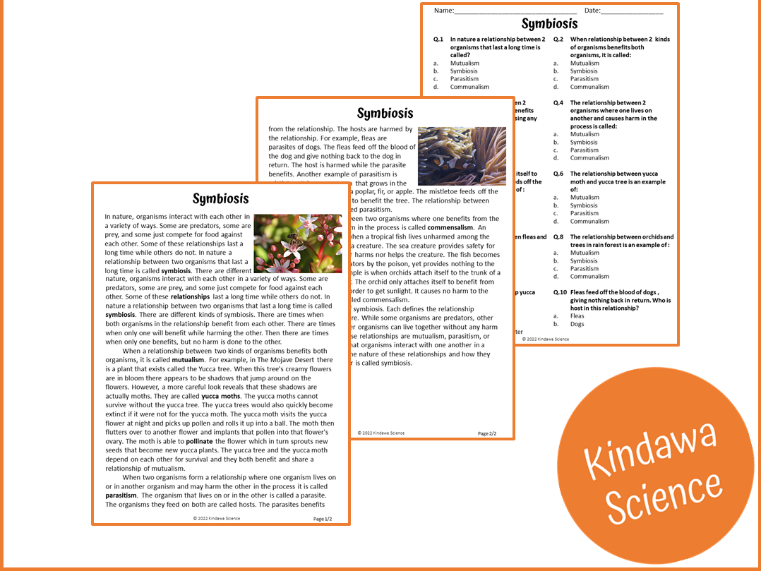 Symbiosis Reading Comprehension Worksheet