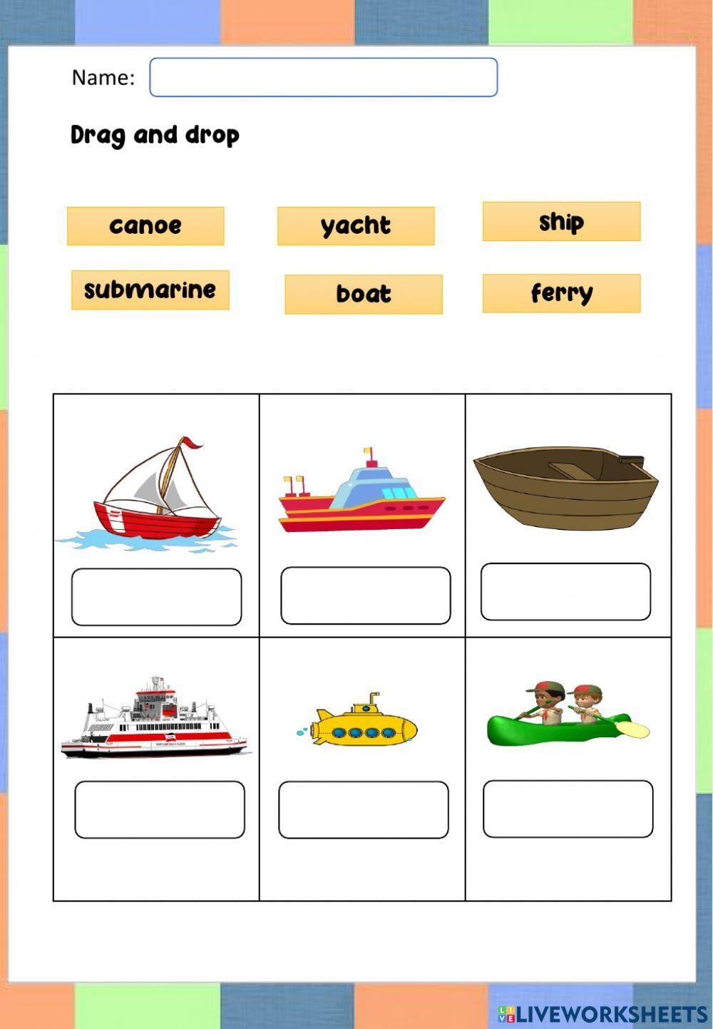 Water Transport Free Interactive Worksheets 1208656